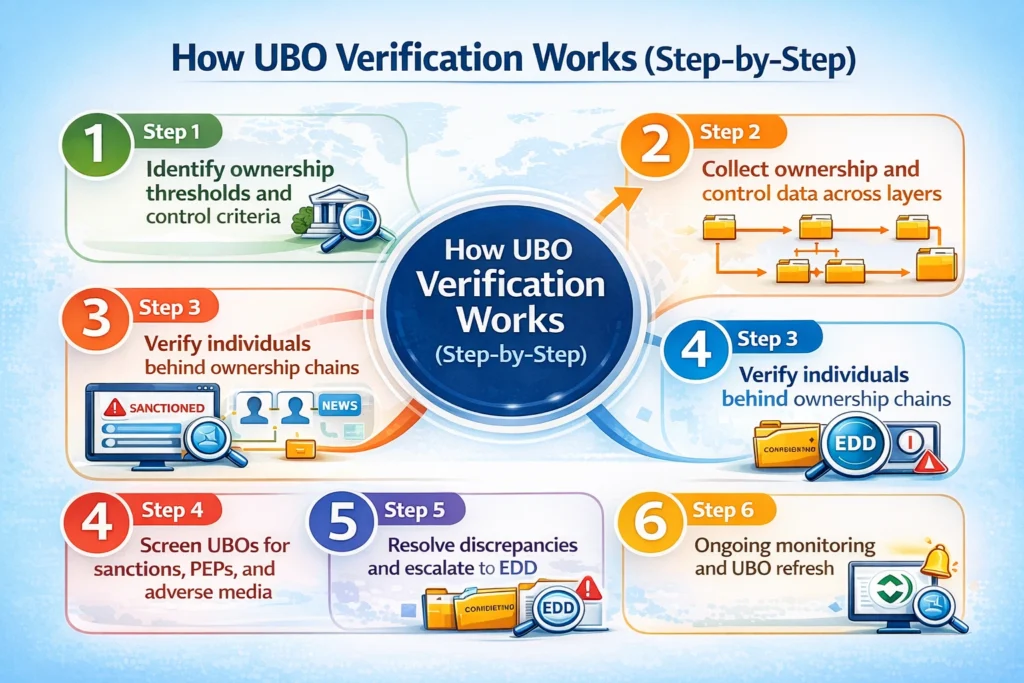 How UBO Verification Works Step by Step
